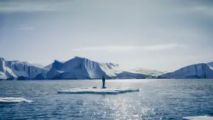 Задник к фильму "" #536097