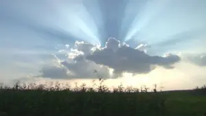 Задник к фильму "Борат" #732713