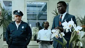 Задник к фильму "Полуночная жара" #203599