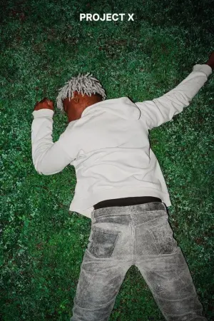 Постер к фильму "Проект X: Дорвались" #258149