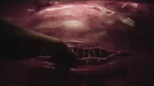 Задник к фильму "Подростковый секс и смерть в лагере Миазма" #781727