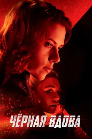 Постер к фильму "Чёрная вдова" #23611
