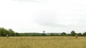 Задник к фильму "Королевство полной луны" #719522