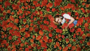 Задник к фильму "Волшебник страны Оз" #523877