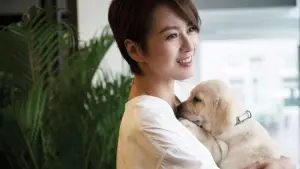 Задник к фильму "" #495349