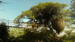 Задник к фильму "Приключения Паддингтона" #674573