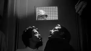 Задник к фильму "Вторжение похитителей тел" #715474