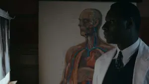 Задник к фильму "Афера доктора Нока" #289352