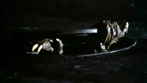 Задник к фильму "К.Г.П.О." #434086