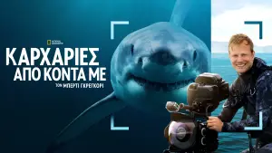 Задник к фильму "Лицом к лицу с акулами с Берти Грегори" #793008