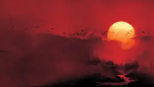 Задник к фильму "Апокалипсис сегодня" #593678