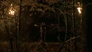 Задник к фильму "Таинственный лес" #728864