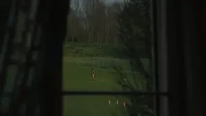 Задник к фильму "Эмма." #693270