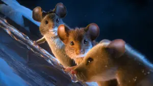 Задник к фильму "Мышиный переполох" #556121