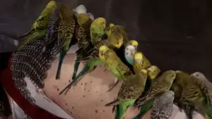 Задник к фильму "Барбарелла" #724566