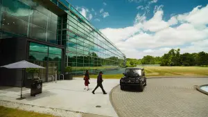 Задник к фильму "Бугония" #511626