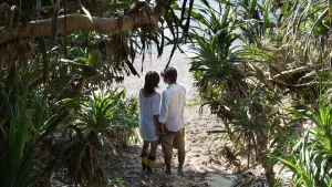 Задник к фильму "" #437746