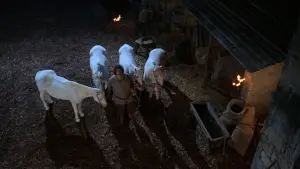 Задник к фильму "Принцесса-невеста" #610274