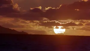 Задник к фильму "Багровый прилив" #720441