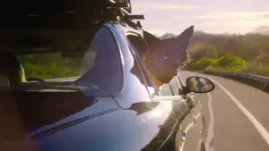 Задник к фильму "Без обид" #607434