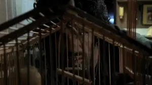 Задник к фильму "У холмов есть глаза" #300349