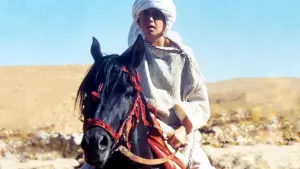 Задник к фильму "Возвращение черного скакуна" #494743