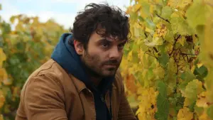 Задник к фильму "Возвращение в Бургундию" #255071