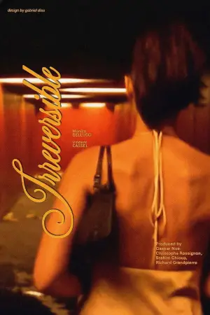 Постер к фильму "Необратимость" #614243