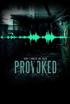 Постер к фильму "Provoked"
