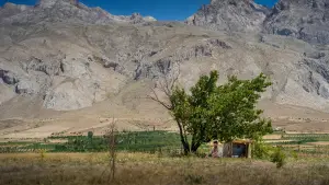 Задник к фильму "То, что ты убиваешь" #537314