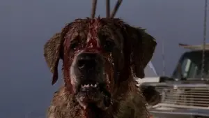 Задник к фильму "Куджо" #302932