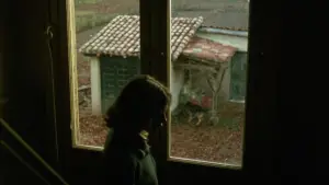 Задник к фильму "Юг" #535720