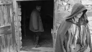 Задник к фильму "Туринская лошадь" #201326