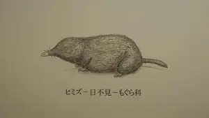 Задник к фильму "Химидзу" #951374