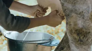 Задник к фильму "Осенняя кровь" #422269