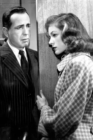 Постер к фильму "Черная полоса" #228639