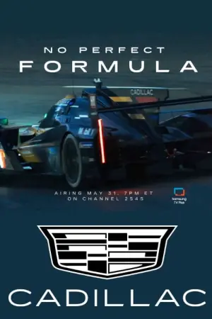 Постер к фильму "No Perfect Formula"