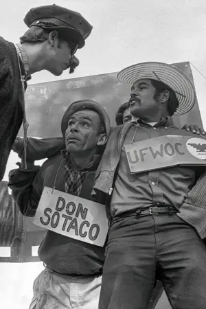 Постер к фильму "Американский пачуко: легенда о Луисе Вальдесе" #544117