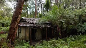 Задник к фильму "Город тайн: Исчезнувшая" #430484