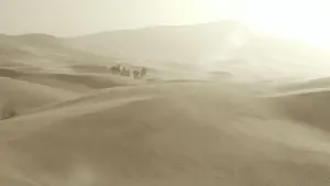 Задник к фильму "Королева пустыни" #428466