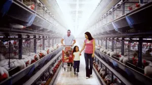 Задник к фильму "Отравление: грязная правда о нашей еде" #440441