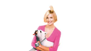 Задник к фильму "Все без ума от Мэри" #273195