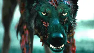 Задник к фильму "Лихорадка" #385482