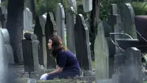 Задник к фильму "Залив тишины" #338709