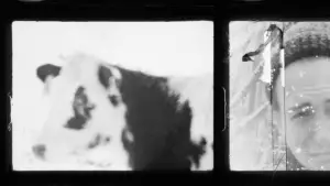 Задник к фильму "Коровий Вал" #537196