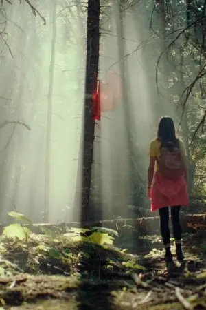 Постер к фильму "" #365447