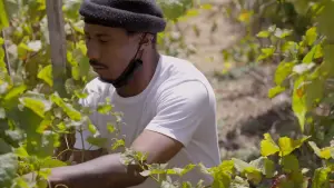 Задник к фильму "The Two Eighty Project" #791942