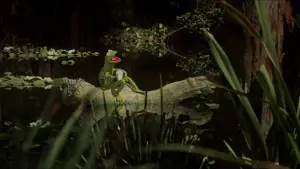 Задник к фильму "Фильм Маппетов" #673408