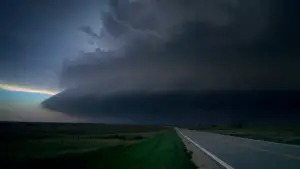 Задник к фильму "Древо жизни" #723945