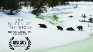 Задник к фильму "" #469701